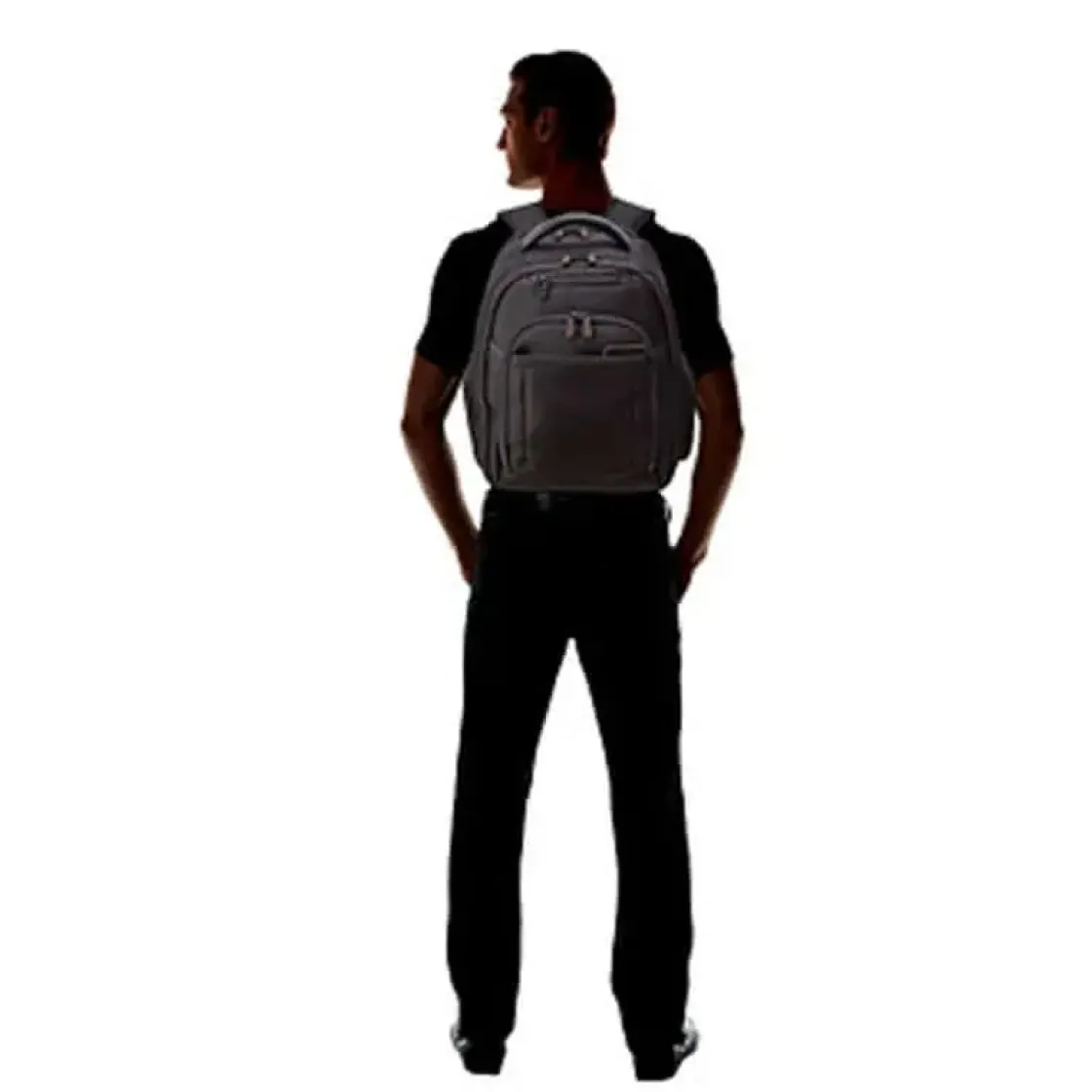 Fashion Samsonite Pro 4 DLX Standard Backpack PFT Black